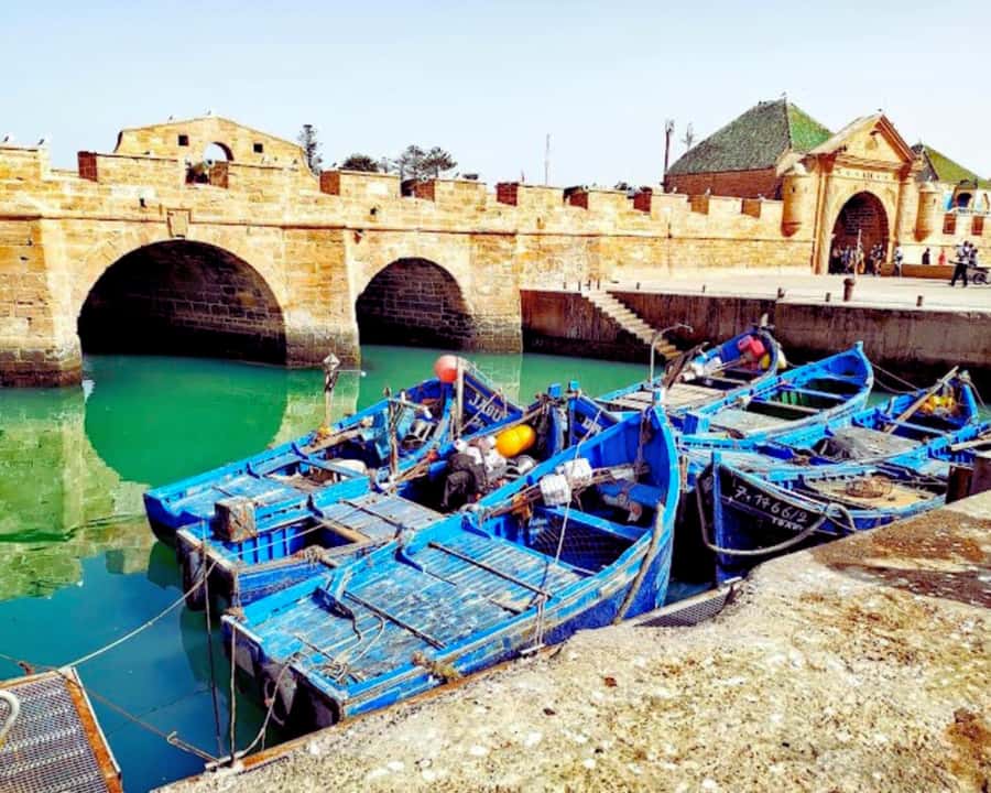 Surf Training and Lunch on Essaouira Day Trip from Marrakech - Marrakech to Essaouira and back: how the timing affects your day