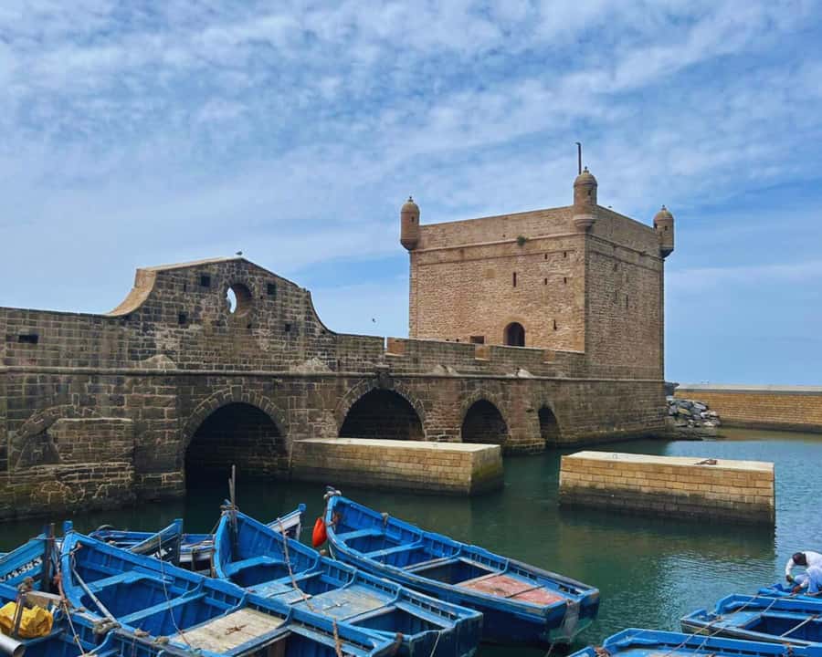 Surf Training and Lunch on Essaouira Day Trip from Marrakech - Lunch in Essaouira: the simple win that makes the day feel complete