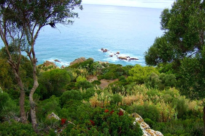 Tangier 3 Hours Sightseeing & Camel ride - Lunch break timing: how to use the free time without losing your day