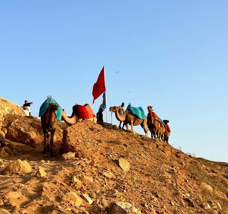 Tangier: Achakar Beach Sunset Camel Ride & Moroccan Dinner - Why Achakar Beach Sunset Camel Riding Feels Worth It