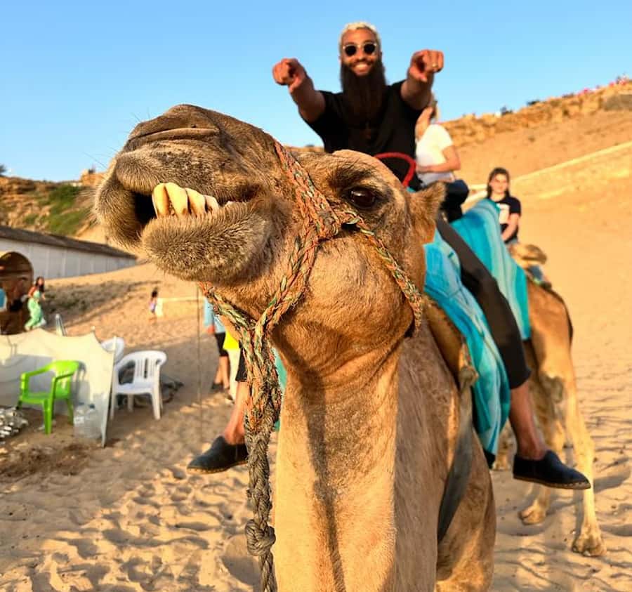 Tangier: Achakar Beach Sunset Camel Ride & Moroccan Dinner - The Dinner at Grand Socco: What You’re Really Paying For
