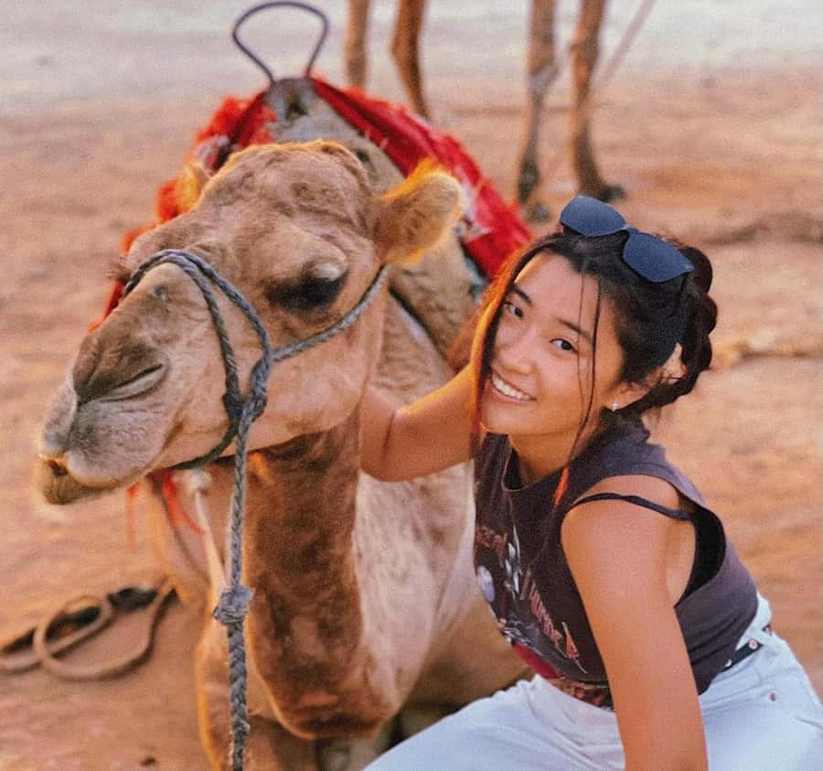 Tangier: Achakar Beach Sunset Camel Ride & Moroccan Dinner - Cap Spartel and the Lighthouse Stop You’ll Actually Remember