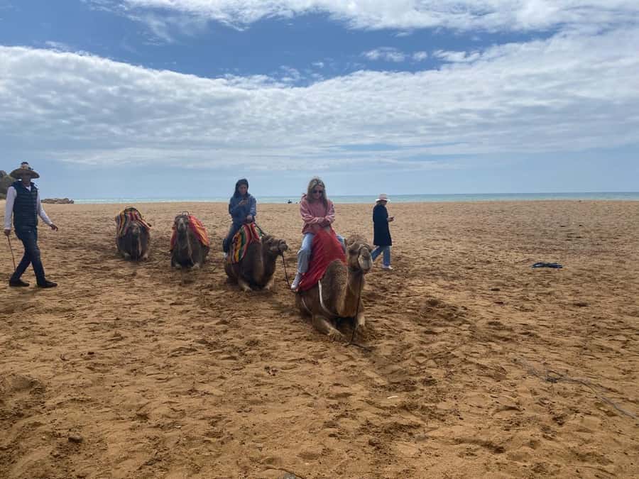 Tangier: Cap Spartel, Hercules Caves & Camel Riding - Transportation Comfort and the Driver-First Approach