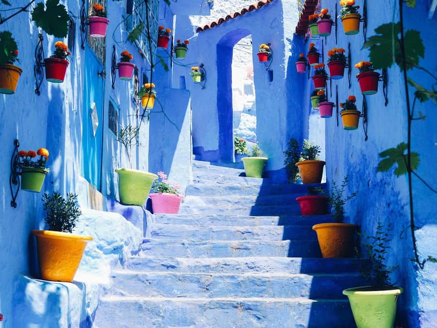 Tangier & Chefchaouen: 2-Day Tour From Casablanca By Train - Day 2 in Chefchaouen: the Rif Mountains drive and the blue medina rhythm