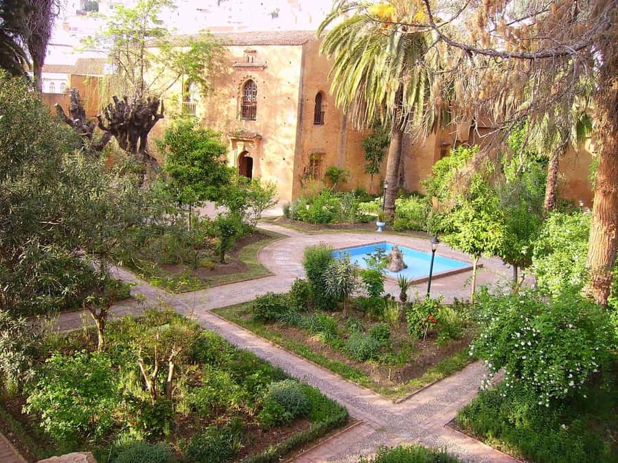 Tangier & Chefchaouen: 2-Day Tour From Casablanca By Train - Price check: is $293 good value for this route?