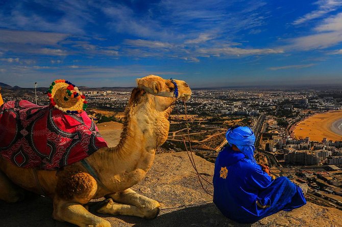 Tangier city break : Scenic Drive and Camel Trek - Achakar Camel Trek: The Atlantic Ride That Turns Photos Into a Memory