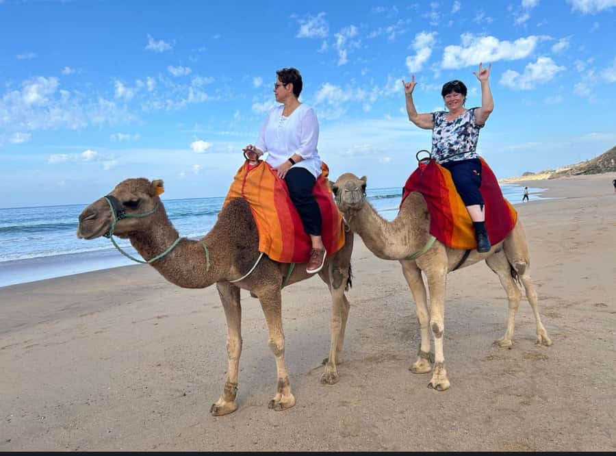 Tangier: Full-Day Private Sightseeing Tour with Camel Ride - Hercules Caves: fast sightseeing with enough time to enjoy it