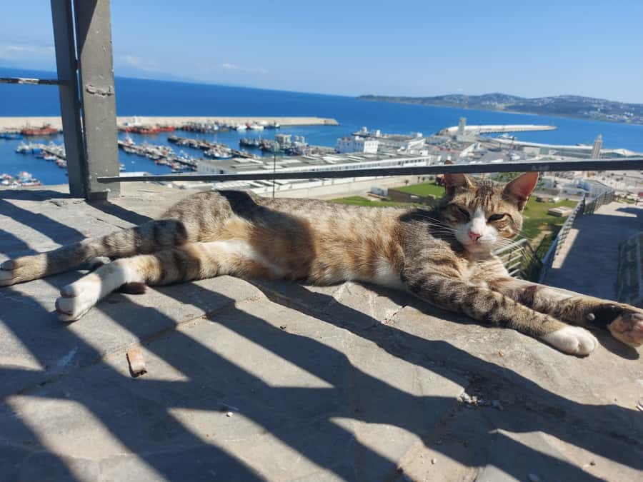 Tangier Highlights Private 6-Hour Tour - Getting your bearings fast: Malabata Cape and the Europe–Africa split