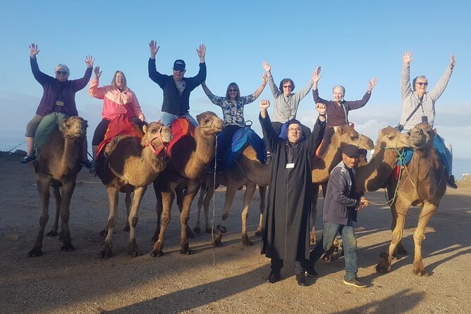 Tangier Luxury Tour Private Guide Plush Van and Camel Bliss - Key highlights worth planning around