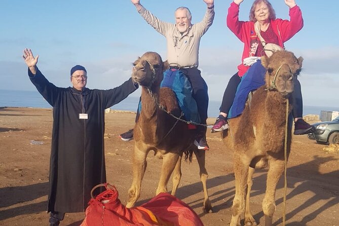Tangier Luxury Tour Private Guide Plush Van and Camel Bliss - Is $175.29 a fair price for a private day in Tangier?