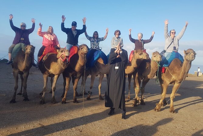 Tangier Luxury Tour Private Guide Plush Van and Camel Bliss - Tangier Casbah, Kasbah Museum, and Mendoubia Garden: slow down in the historic zone