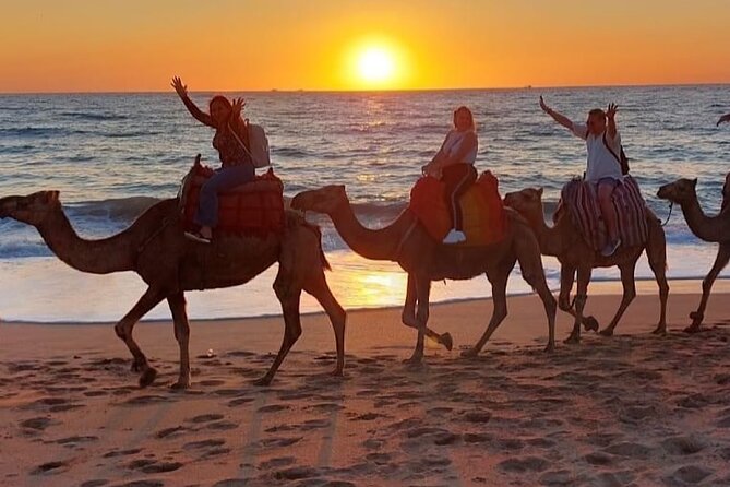 Tangier Package: Camel Ride, Cap Spartel, Hercules Caves & Dining - The Medina dinner: harira, pastilla, tagine, and live music