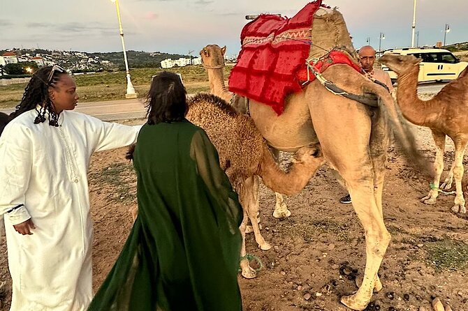 Tangier Package: Camel Ride, Cap Spartel, Hercules Caves & Dining - Pickup, the drive through Tangier, and the Perdicaris garden stop