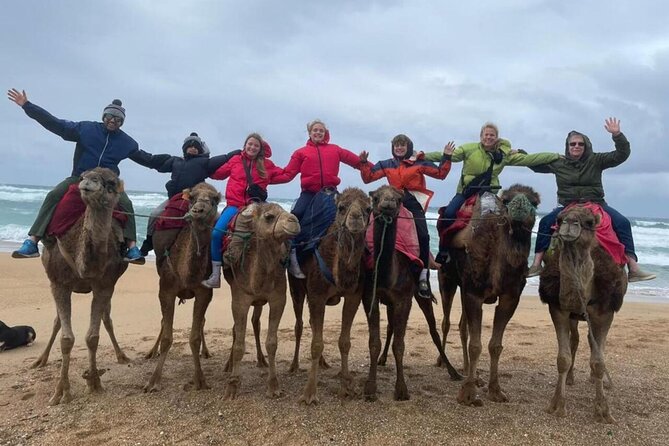 Tangier Private Day Tour from Cruise Ship All inclusive - Perdicaris Park and Achakkar Beach: nature pause, then camel ride