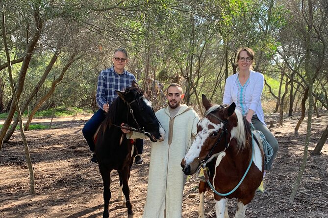 Tangier Private Full Day Tour Including Ferry Ticket & Camel Ride - Tangier Casbah viewpoints: fortresses, gardens, and the old-city feel