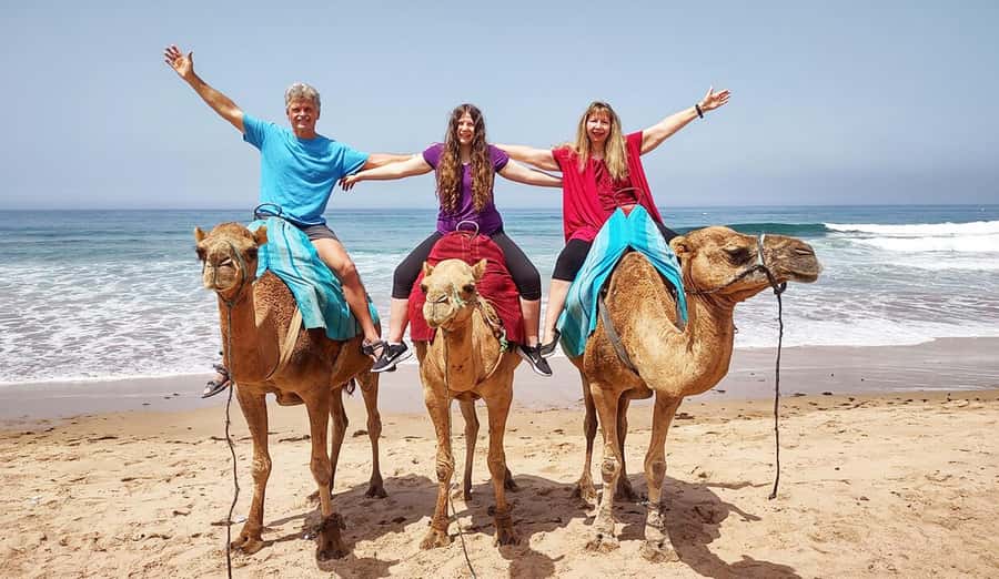 Tangier Private Half-Day Tour + Camel Ride + Add-on: Lunch - Quick highlights you’ll care about