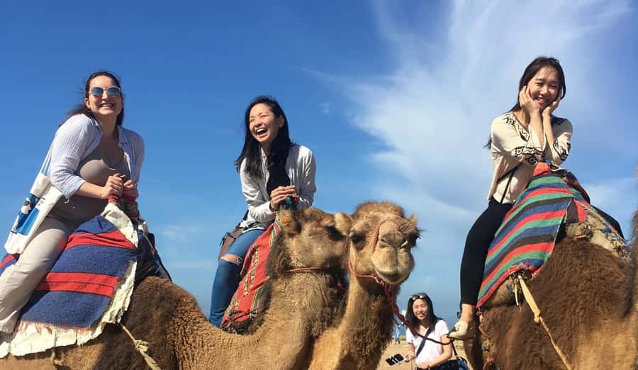 Tangier Private Half-Day Tour + Camel Ride + Add-on: Lunch - A half-day that actually feels like Tangier