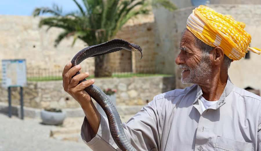 Tangier Private Half-Day Tour + Camel Ride + Add-on: Lunch - Pickup and the luxury-vehicle reality check