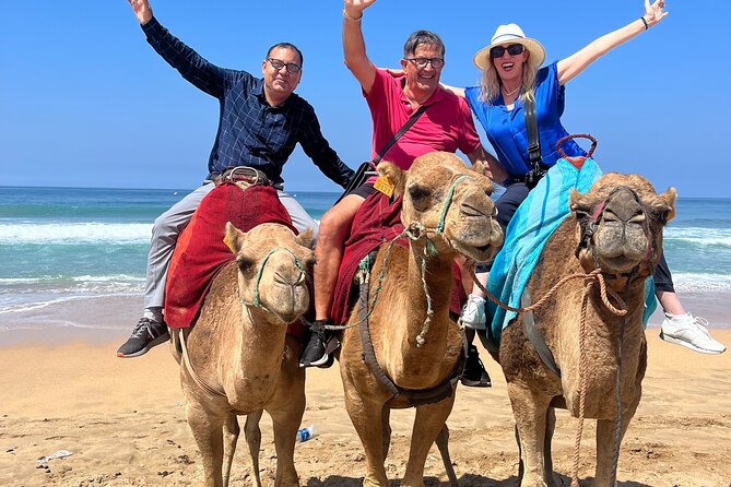 Tangier private half day tour Deluxe Including camel ride & Lunch - Lunch in the Medina: Built In, Not Optional