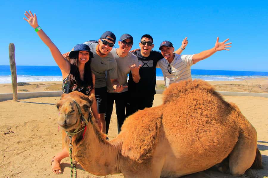 Tangier: sunset, tea, camel ride, Cape Spartel and caves. - The long secret stop: where sunset, photos, and the ride come together