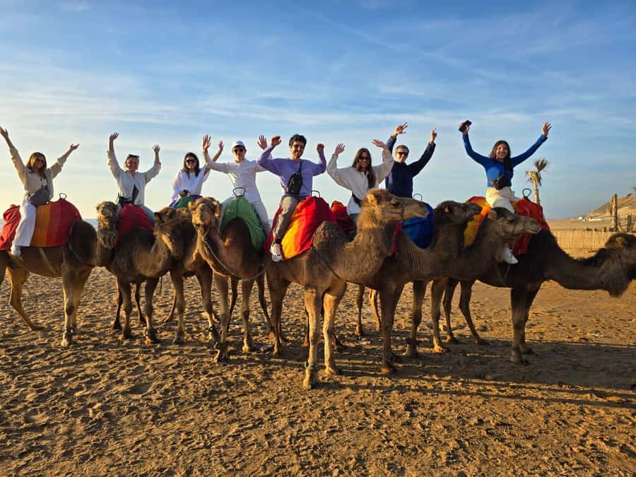 Tangier: sunset, tea, camel ride, Cape Spartel and caves. - Driver quality can make a big difference in a short tour