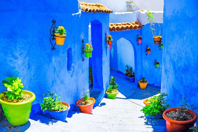 Tangier to Fes via Chefchaouen – Private Transfer - Chefchaouen city tour: sanctuaries, blue doors, and real local texture