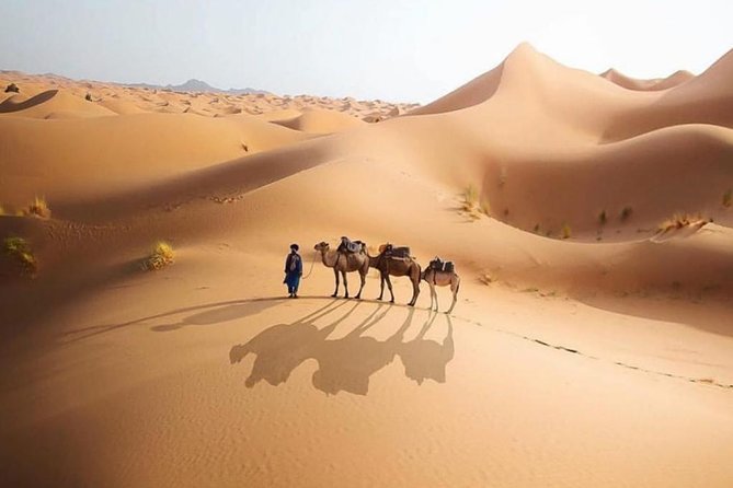 Tangier to Sahara desert with overnight stay in desert camp 4 days - Todra Gorge and Dades Valley: kasbah roads and cliff canyon drama