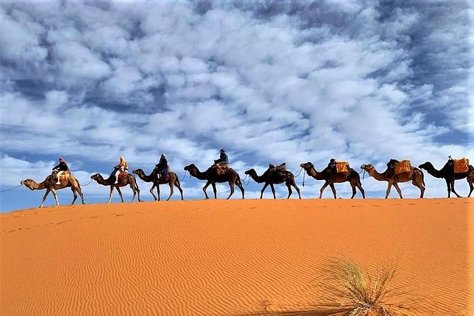 Tangier to Sahara desert with overnight stay in desert camp 4 days - The drive to Merzouga: Middle Atlas to Erg Chebbi in a day