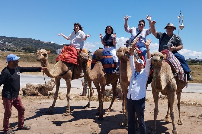 Tangier Tour Visit Caves, Kasbah, Medina & Berber Markets - How This Tour Fits Tangier Into One Clear Morning