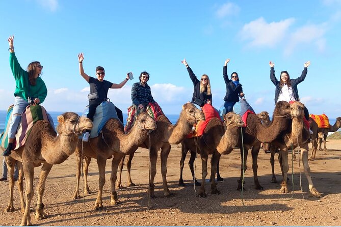 Tangier Uncovered: A Full Day Adventure through Morocco’s Jewel - Cap Malabata, Marshan Palace, and the “other side” of Tangier