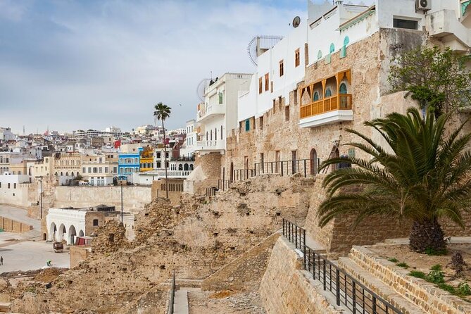Tangier unique full day tour - Parc Perdicaris: A Forest Stop With a Real Tangier Story