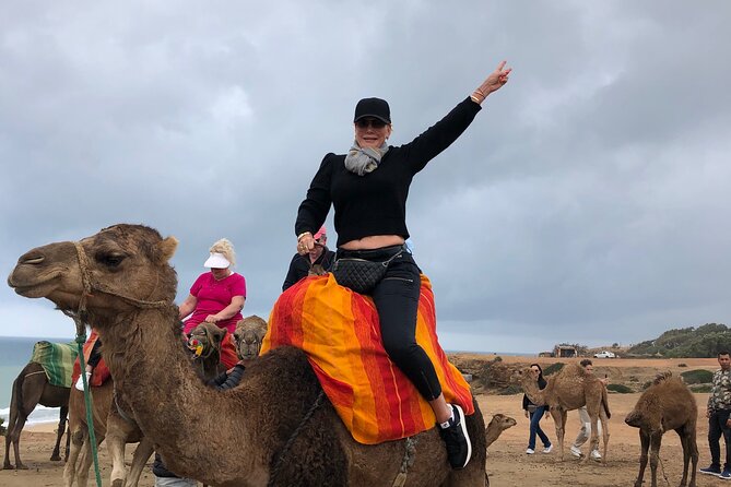 Tarifa to Tangier Tour with ferry ticket , lunch & camel ride - Key highlights you’ll feel right away
