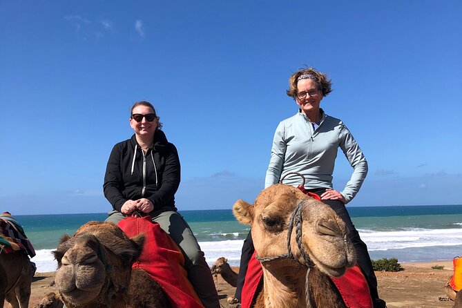 Tarifa to Tangier Tour with ferry ticket , lunch & camel ride - Ferry logistics: tickets, timing, and why it keeps stress low