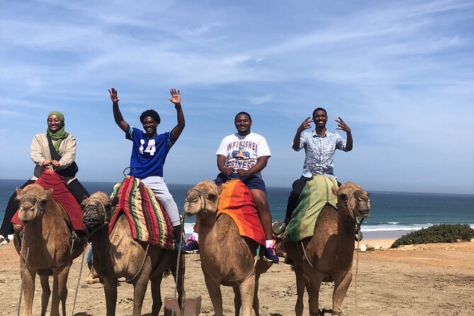 Tarifa to Tangier Tour with ferry ticket , lunch & camel ride - Achakkar Beach camel ride: golden sand and the famous camels you’ll meet