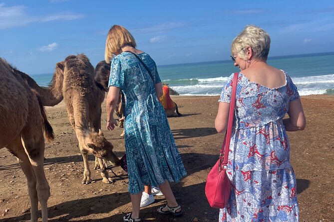 Tarifa to Tangier Tour with ferry ticket , lunch & camel ride - Tangier Casbah and Dar el Makhzen: fortress hill views with real context