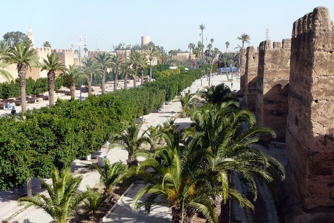 Taroudant and Tiout Day Trip From Agadir With Lunch - Group size, comfort, and what that means for your day