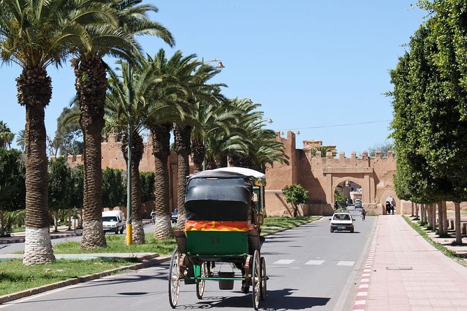 Taroudant and Tiout Day Trip From Agadir With Lunch - Taroudant: mini-Marrakech walls, souks, and how much time you really get