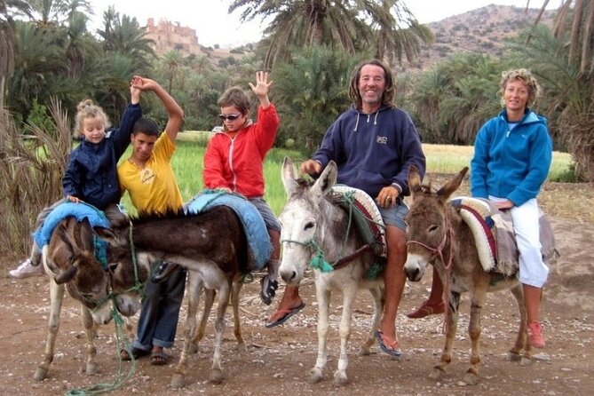 Taroudant and Tiout Oasis Guided Day Trip with Lunch - What the tree-climbing goats add to the day