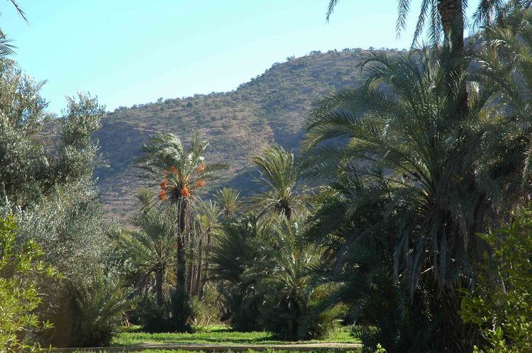 Taroudant and Tiout Oasis Trip With Lunch - Quick hits: what makes this Taroudant and Tiout day click