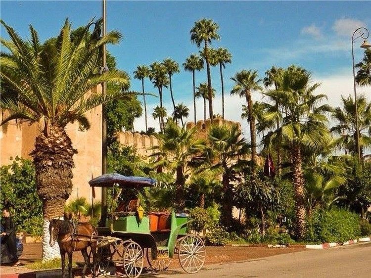Taroudant and Tiout Oasis Trip With Lunch - Getting to Taroudant from Agadir without stress