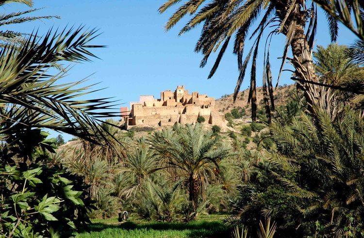 Taroudant and Tiout Oasis Trip With Lunch - The craft bazaar for Berber carpets and fine silver jewelry