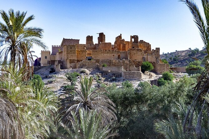 Taroudant and Tiout Oasis with Lunch - Taroudant Medina and Souk: 2 Hours to Walk, Look, and Choose