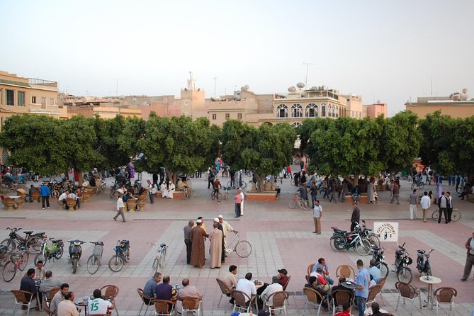 Taroudant half day excursion from Agadir - The Countryside Drive: Souss Plains and Argan Tree Goats