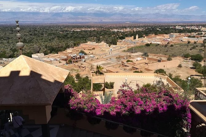 Taroudant the berber city +The Oasis of Tiout village - Price and value: what $47.10 covers and what to budget for