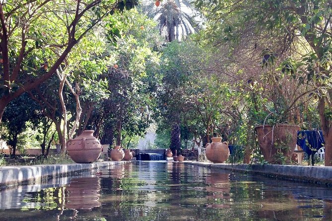 Taroudant the berber city +The Oasis of Tiout village - Who this tour is best for (and who might prefer something else)