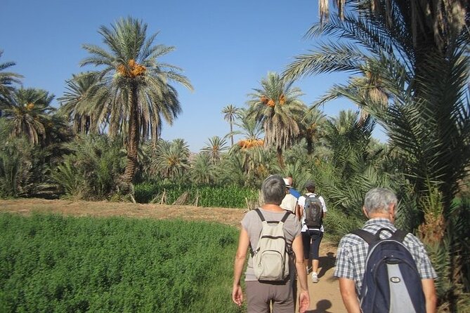 Taroudant & Tiout Day Trip Tour - Tiout Oasis: palm groves, red ocher villages, and Berber lunch