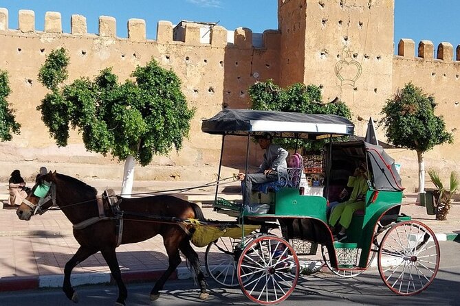 Taroudant & Tiout Day Trip Tour - Taroudant: the little Marrakech feeling without the crowds