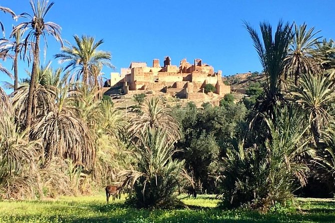 Taroudant Tiout with meal 1 day - Souks You Can Actually Enjoy: Why Taroudant Feels Less Pressured