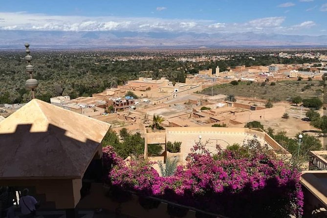 Taroudant Tiout with meal 1 day - Duration, Group Size, and the Pace Reality