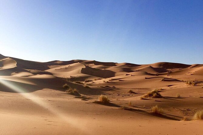 Test of Morocco : 4 Days Merzouga private luxury Desert tour from Marrakech - Day 2: Roses, Dades Valley, Todra Gorges, then into Merzouga